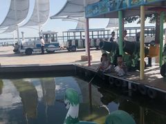 -包头南海湿地景区