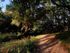 -上海共青森林公园