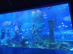 -哈尔滨波塞冬海底世界