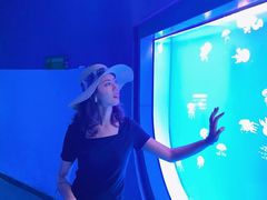 -福州罗源湾海洋世界旅游区