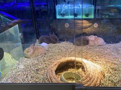 -宠物世家(仲盛世界商城店)