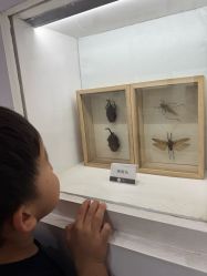 -酷嗒动物文化乐园(cutezoo西溪乐天城店)