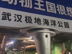 -海合安武汉极地海洋公园