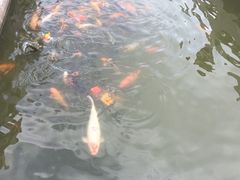 -珠海圆明新园