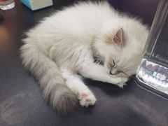 -无趣桌游狼人杀店