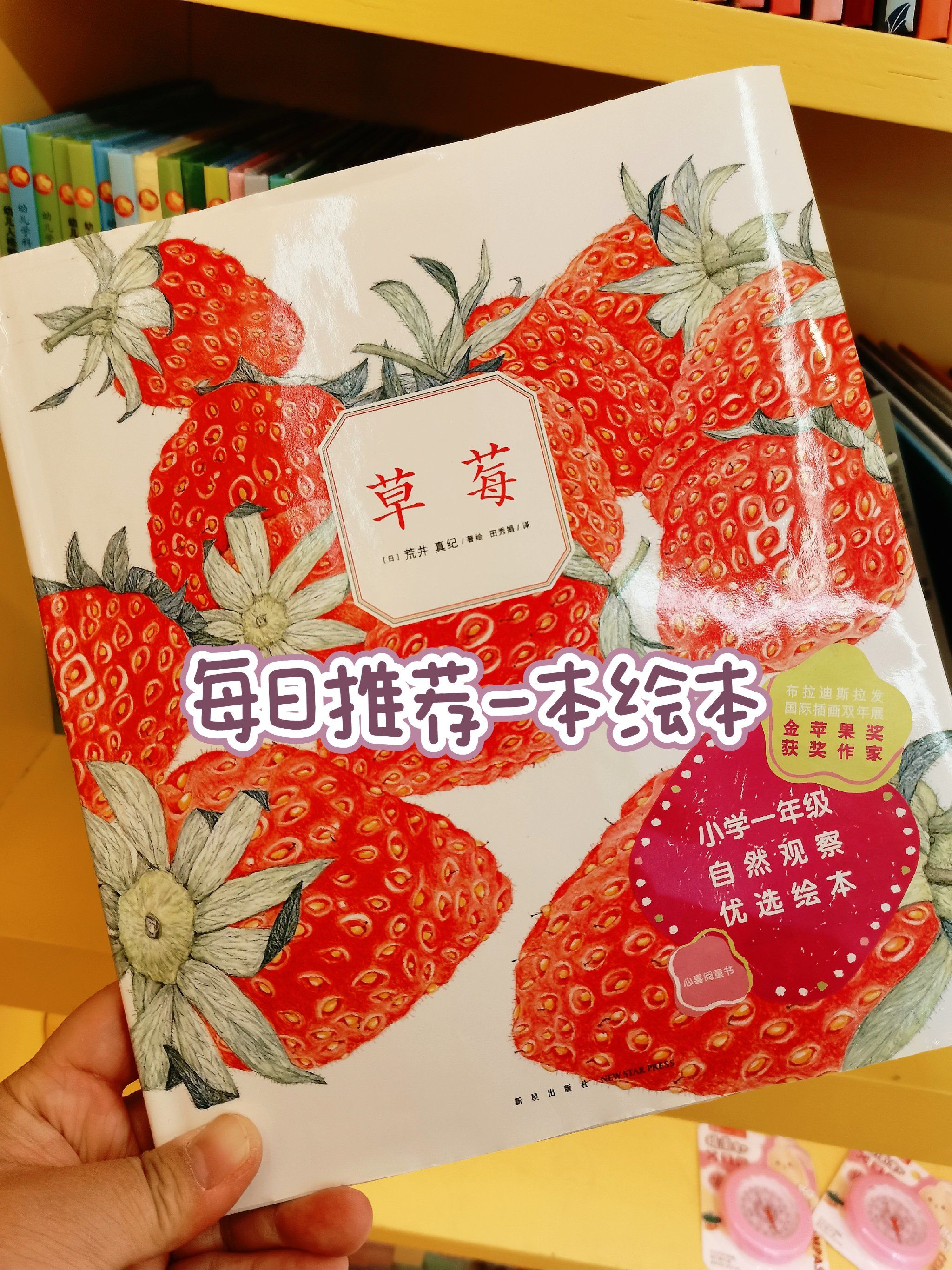 绘本|草莓:不慌不忙地生长,遇见生命的美好