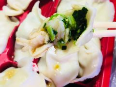 韭菜鸡蛋虾仁水饺-九先生水饺(傅厚岗店)