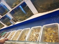 -海天盛宴新派海鲜自助餐厅(群力店)