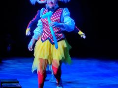 -珠海横琴长隆《卡卡虎奇遇记》