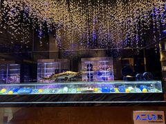 -AZUR聚(香格里拉饭店)