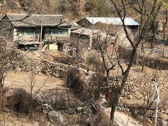 -大岭沟猕猴桃谷风景区