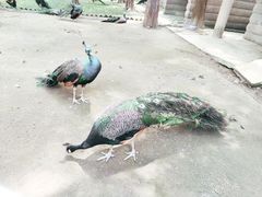 -南京金牛湖风景区