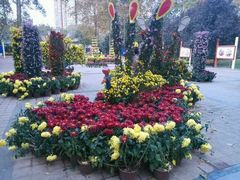 iphone_upload_pic-中国翰园碑林