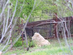 -沈阳森林动物园