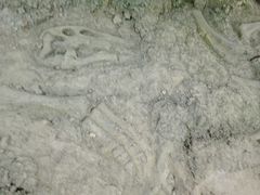 -嘉荫恐龙国家地质公园