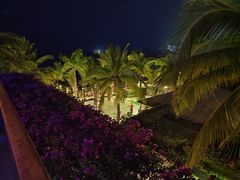-日落吧·海景咖啡厅·餐酒吧·鸡尾酒·下午茶·乐队表演·浪漫夕阳·三亚文华东方酒店