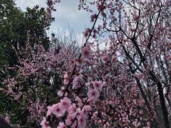 -堤角公园