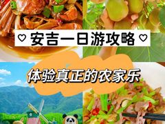 -李东农庄·当地安吉味(中南百草园店)