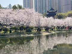 -堤角公园