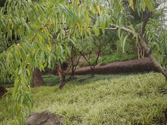 -乌山风景区