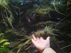-杭州长乔极地海洋公园