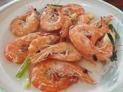 -小小饭店·休闲农庄·安吉松树林里的农家菜