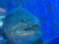 -成都浩海立方海洋公园