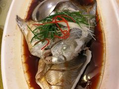 -华兴大酒楼(亿宝大厦店)