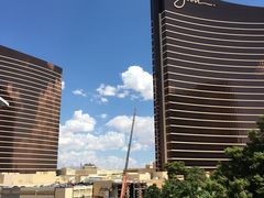 -拉斯维加斯永利酒店