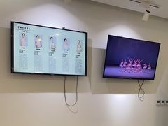 -中央芭蕾舞团·中芭艺蕾(酒仙桥明星校区)