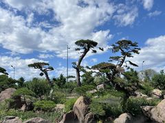 -罗红摄影艺术馆