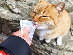 -终南山南五台景区