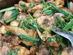 啫啫鸡煲-一品美食城(石碣序伦小学店)