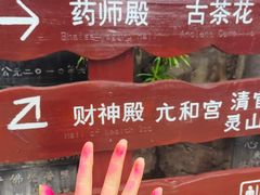-盘龙寺