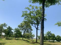 -钟山体育运动公园