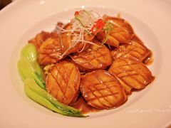-上海白金汉爵大酒店(大零号湾国际会议中心店)