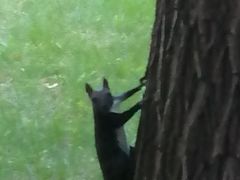 -长春公园(普阳街道)