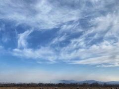 -野鸭湖国家湿地公园