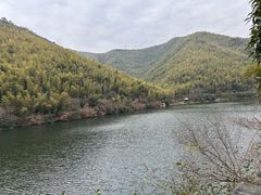 -紫藤园·天目湖大鱼头(南山竹海店)