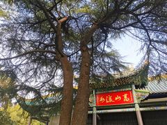 -古琴台