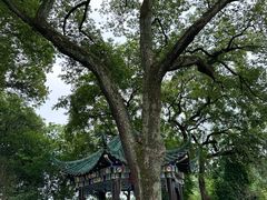 -古琴台