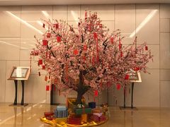 -国家会议中心大酒店