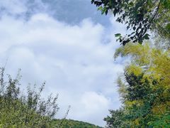 -南山风景名胜区