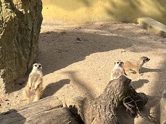 -宁波野生动物园