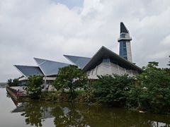 -盐城丹顶鹤湿地生态旅游区