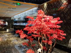 -红辣椒·川菜·火锅(大洋中心店)