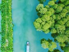 -池杉湖湿地公园
