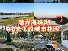 -海珠湖公园