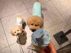 -麦当劳(杭州临平万达广场店)