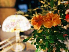 -Golden Lily河内巴黎法越料理餐厅(建国西路店)